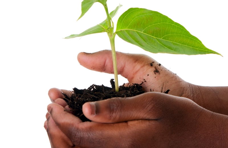 Launch of African Agri-Business Engine for private sector agricultural finance 