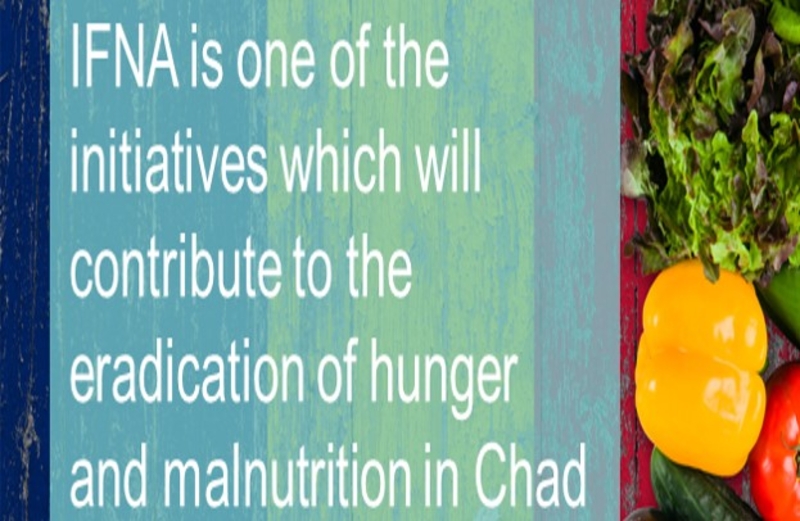 Ending Hunger and Malnutrition: The IFNA lens in Chad 
