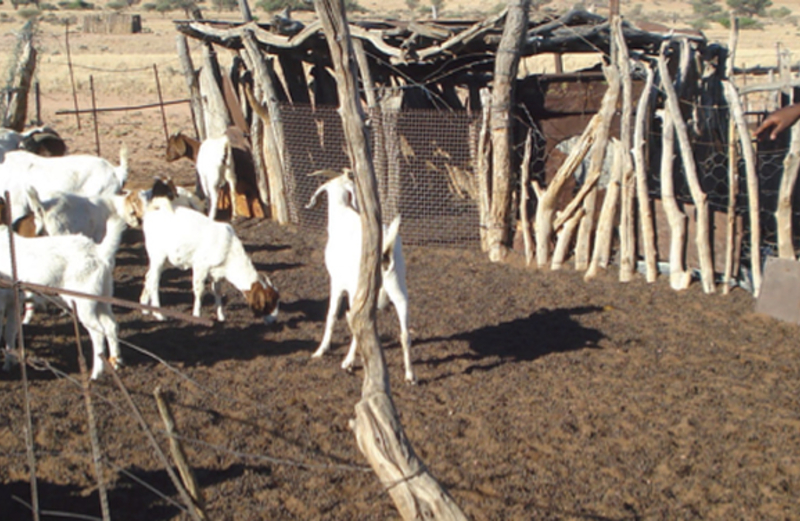 One week to the 3rd AFRICA Climate Smart Agriculture (CSA) Alliance Forum