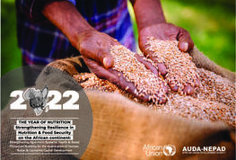 Impact of Russia-Ukraine Conflict on African Food Systems